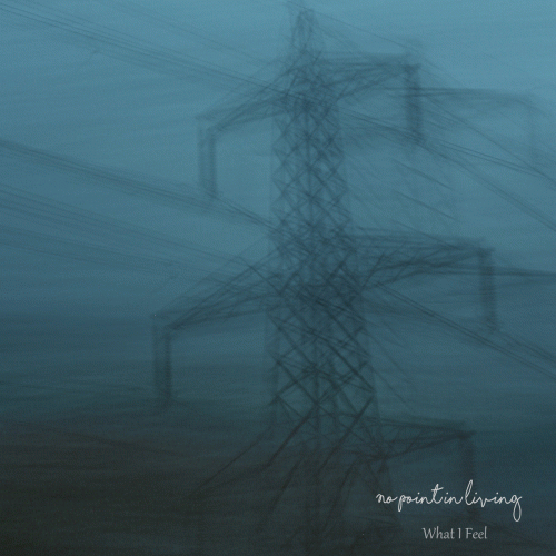 No Point In Living : What I Feel No Point In Living : What I Feel